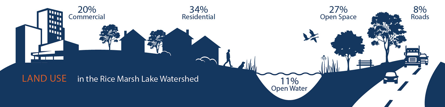 Rice Marsh land use