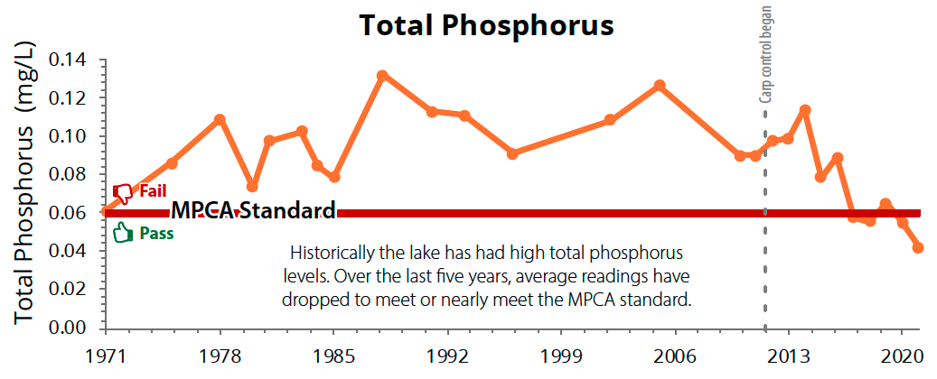 Staring_Phosphorus_2020.png